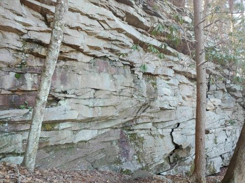 A rocky cliff face with layered stone, surrounded by trees and foliage.