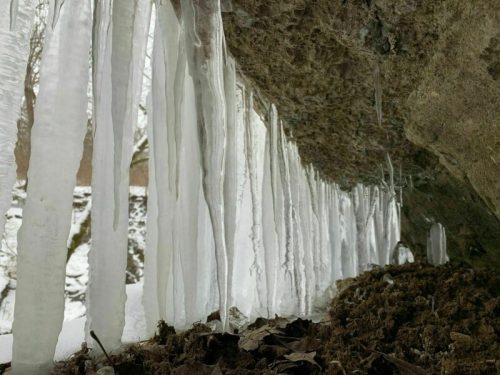 Icicles hang from a rocky overhang, with snow and leaves on the ground below, creating a winter scene.