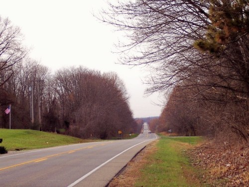 A winding road stretches into the distance, flanked by bare trees and a grassy area, with an American flag visible.