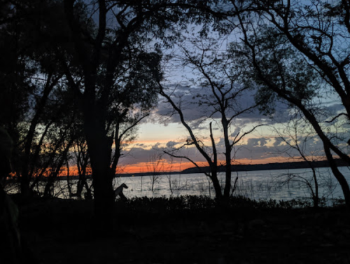 Silhouette of trees against a colorful sunset over a calm lake, with clouds scattered in the evening sky.