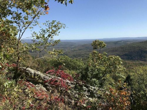 A scenic view of rolling hills and valleys, framed by trees with autumn foliage under a clear blue sky.