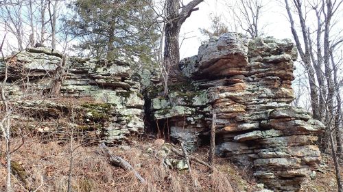 Rock formations covered in moss and lichen, surrounded by sparse trees and dry grass in a natural setting.