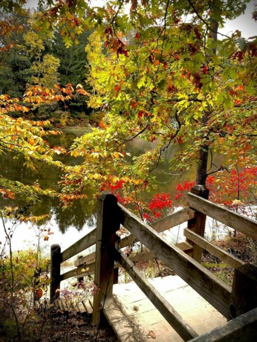 A wooden staircase leads down to a serene pond, surrounded by vibrant autumn foliage in shades of red and yellow.