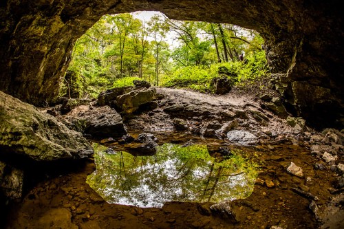 A cave entrance with a view of lush greenery and a reflective pool of water on the rocky ground inside.
