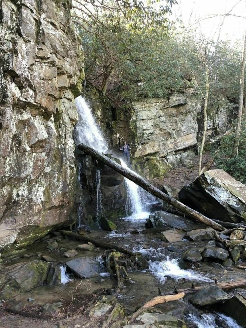 A serene waterfall cascades over rocky terrain, surrounded by lush greenery and trees.