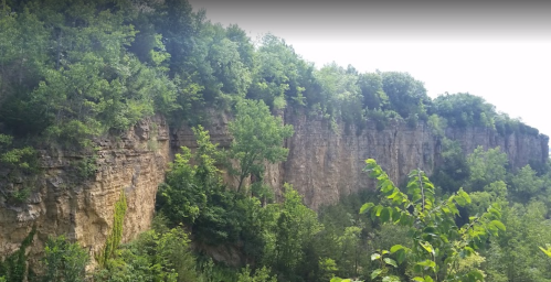 Lush green trees atop a rocky cliff, with a steep drop into a dense forested area below.