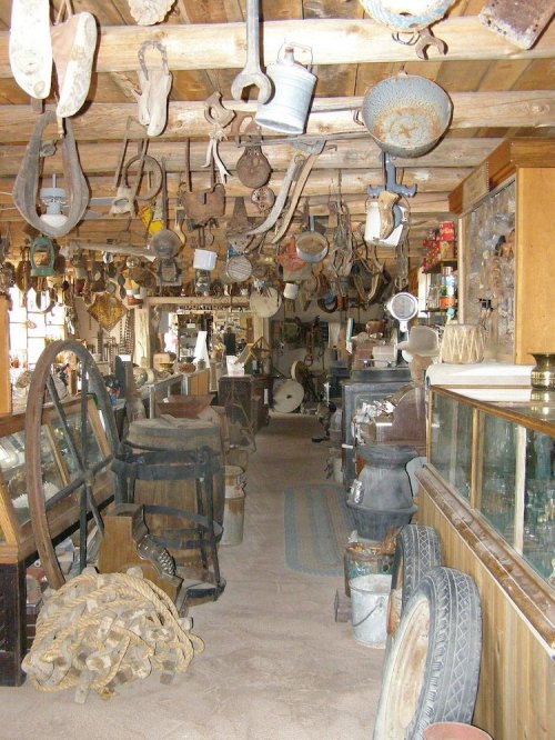 A rustic interior filled with various antique tools and items hanging from the ceiling and displayed on shelves.