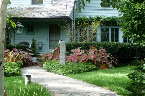 A charming house with blue siding, surrounded by lush greenery and colorful plants along a stone pathway.