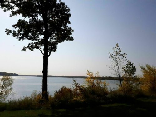 A serene lakeside view with trees and autumn foliage under a clear blue sky.