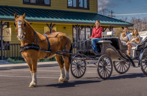 A horse-drawn carriage with passengers rides down a street in front of a yellow building on a sunny day.