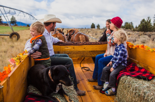 A family enjoys a hayride in a field, with two children, a dog, and adults wearing hats, surrounded by autumn leaves.
