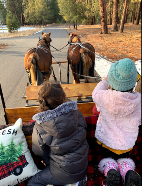 Two children sit in a sled pulled by horses, enjoying a snowy landscape with pine trees in the background.