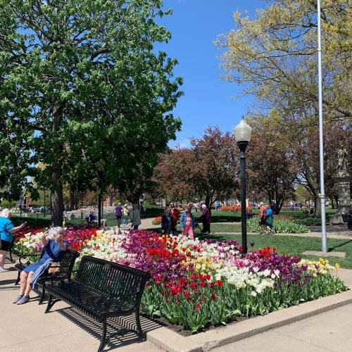 A vibrant park scene with colorful tulips, people walking, and benches under a clear blue sky.