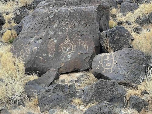 Petroglyphs etched on a large rock, surrounded by dry grass and rocky terrain.