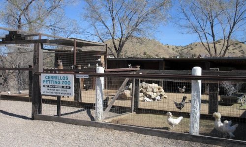 A petting zoo with a wooden fence, featuring chickens and other animals, set against a hilly landscape.