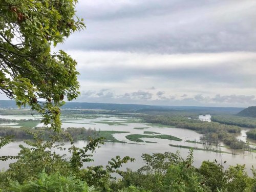 A scenic view of a river winding through lush greenery under a cloudy sky.