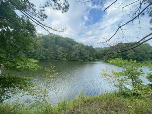 A serene lake surrounded by lush greenery and trees under a partly cloudy sky.