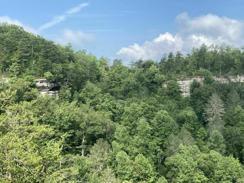Lush green forest with rocky cliffs under a blue sky and scattered clouds.