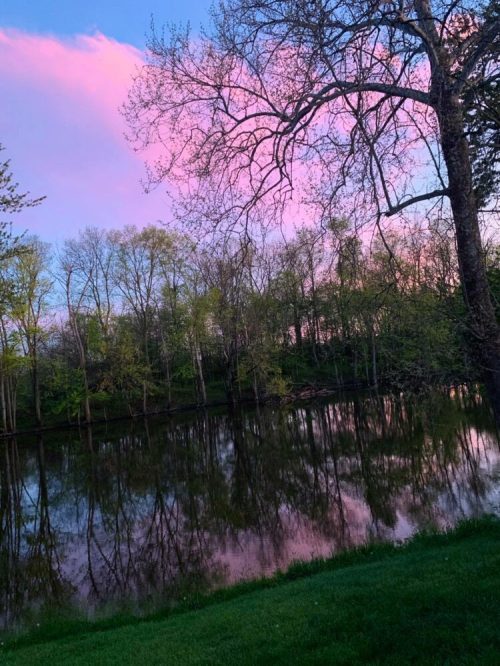 A serene landscape featuring a calm lake reflecting pink clouds and trees at sunset.