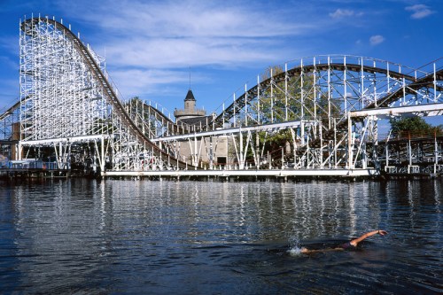 A swimmer in a lake near a wooden roller coaster and amusement park under a clear blue sky.