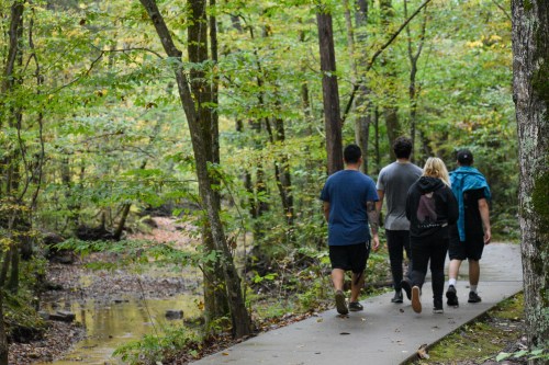 Four people walking along a wooded path beside a small stream, surrounded by lush green trees.