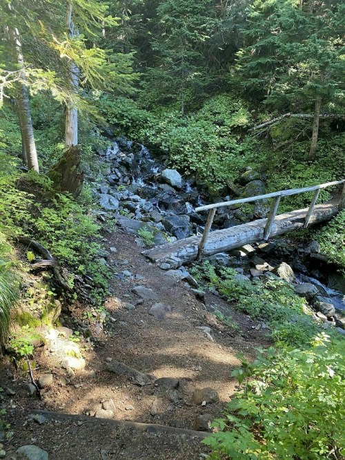 A wooden bridge crosses a rocky stream, surrounded by lush green foliage and trees in a serene forest setting.
