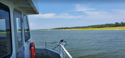 A view from a boat showing calm waters and a green shoreline under a clear blue sky.