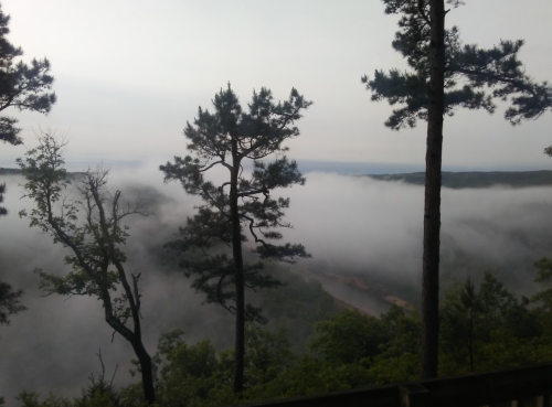 A misty landscape with tall trees overlooking a fog-covered valley and distant hills.