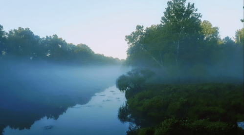 A serene river scene shrouded in morning fog, surrounded by lush greenery and trees.