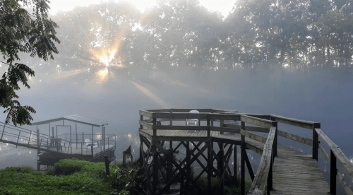 A misty landscape with a wooden dock, surrounded by trees, as sunlight breaks through the fog.