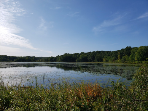A serene lake surrounded by lush greenery under a clear blue sky, with reflections on the water's surface.