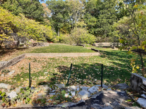 A serene outdoor space with green grass, scattered autumn leaves, and trees in the background.