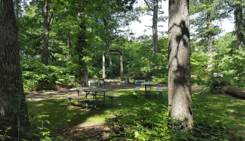 A serene park scene with picnic tables surrounded by trees and greenery, featuring a swing set in the background.