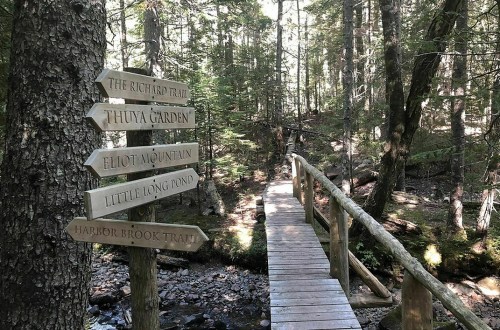 Wooden signposts point to various trails near a wooden bridge in a lush, green forest.