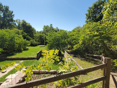 Lush green landscape with trees and grass, featuring stone pathways and a wooden fence under a clear blue sky.