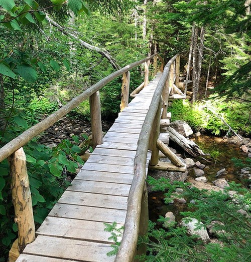 A wooden bridge spans a small stream, surrounded by lush green trees and foliage in a serene forest setting.