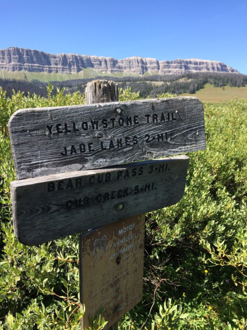 Wooden trail sign indicating directions to Yellowstone Trail, Jade Lakes, Bear Cub Pass, and Cub Creek, with mountains in the background.