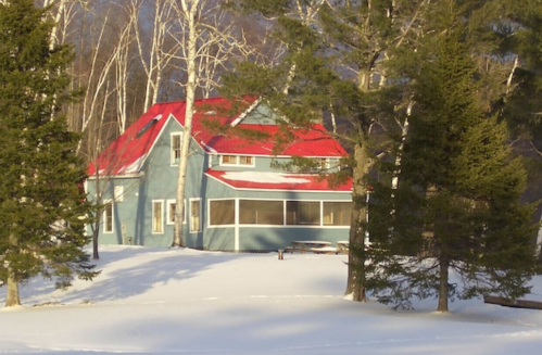 A blue house with a red roof surrounded by snow and trees on a sunny winter day.