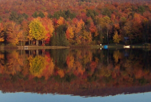 A serene lake reflecting vibrant autumn trees in shades of orange, yellow, and green, with boats on the water.