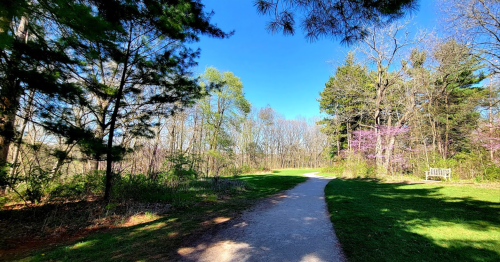 A winding path through a lush green park, surrounded by trees and blooming flowers under a clear blue sky.