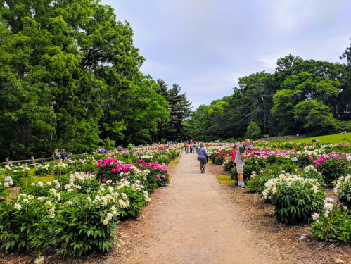 A scenic garden path lined with colorful flowers and visitors enjoying the lush greenery on a cloudy day.