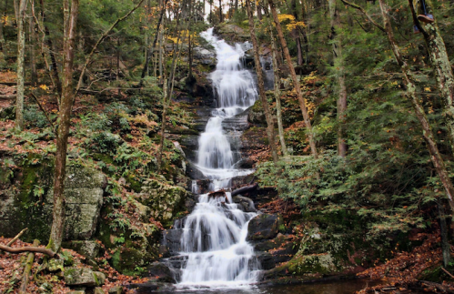 A serene waterfall cascading down rocky steps, surrounded by lush green trees and autumn foliage.