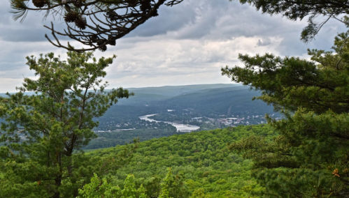 A scenic view of a river winding through green hills, framed by pine trees under a cloudy sky.