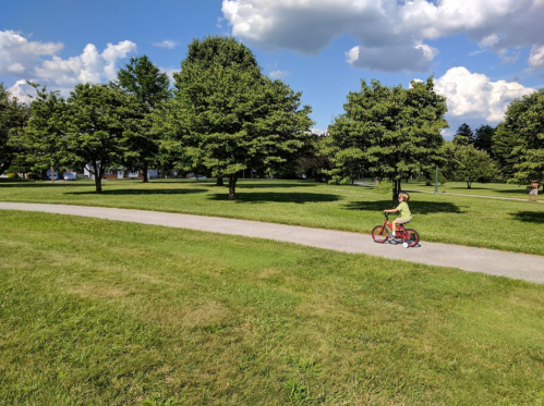 A child rides a red bicycle along a path in a grassy park with trees and blue skies in the background.