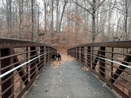 A person and a dog sit on a bridge surrounded by trees with autumn leaves.