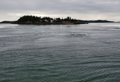A calm sea with rippling water, featuring a small island with trees and a few buildings in the background under a cloudy sky.