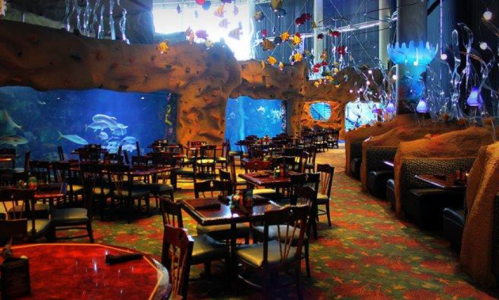 A vibrant restaurant interior with underwater views, featuring wooden tables and chairs surrounded by colorful aquatic decor.