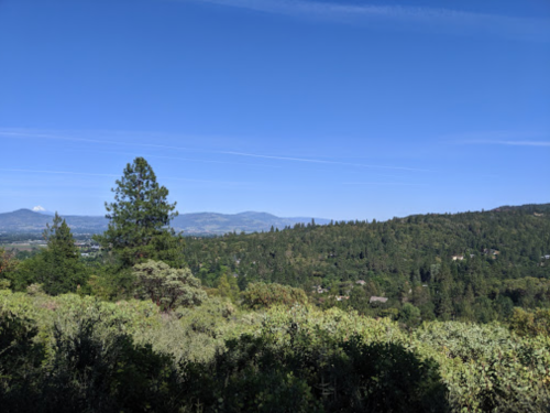 A scenic view of rolling green hills under a clear blue sky, with scattered trees and distant mountains.