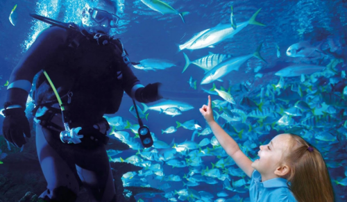 A diver interacts with a young girl underwater, surrounded by colorful fish in a vibrant marine environment.