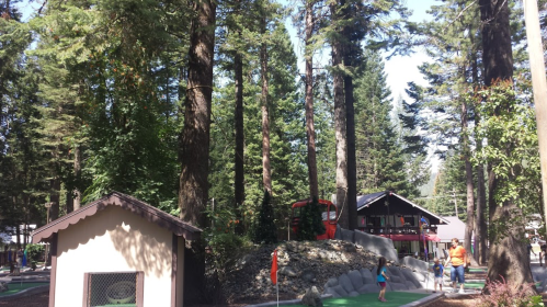 A forested area with tall trees, a small building, and people enjoying a mini-golf course in the background.